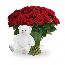 Roses and teddy