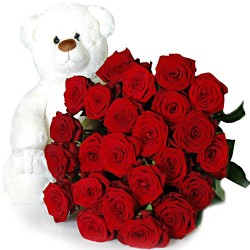 20 Roses and Teddy
