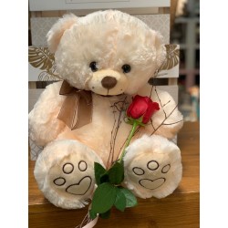 Big Teddy 50 CM and 3 roses